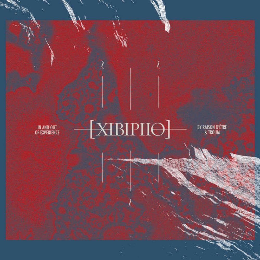 Troum raison d'tre & Troum: XIBIPIIO. In and Out of Experience album cover