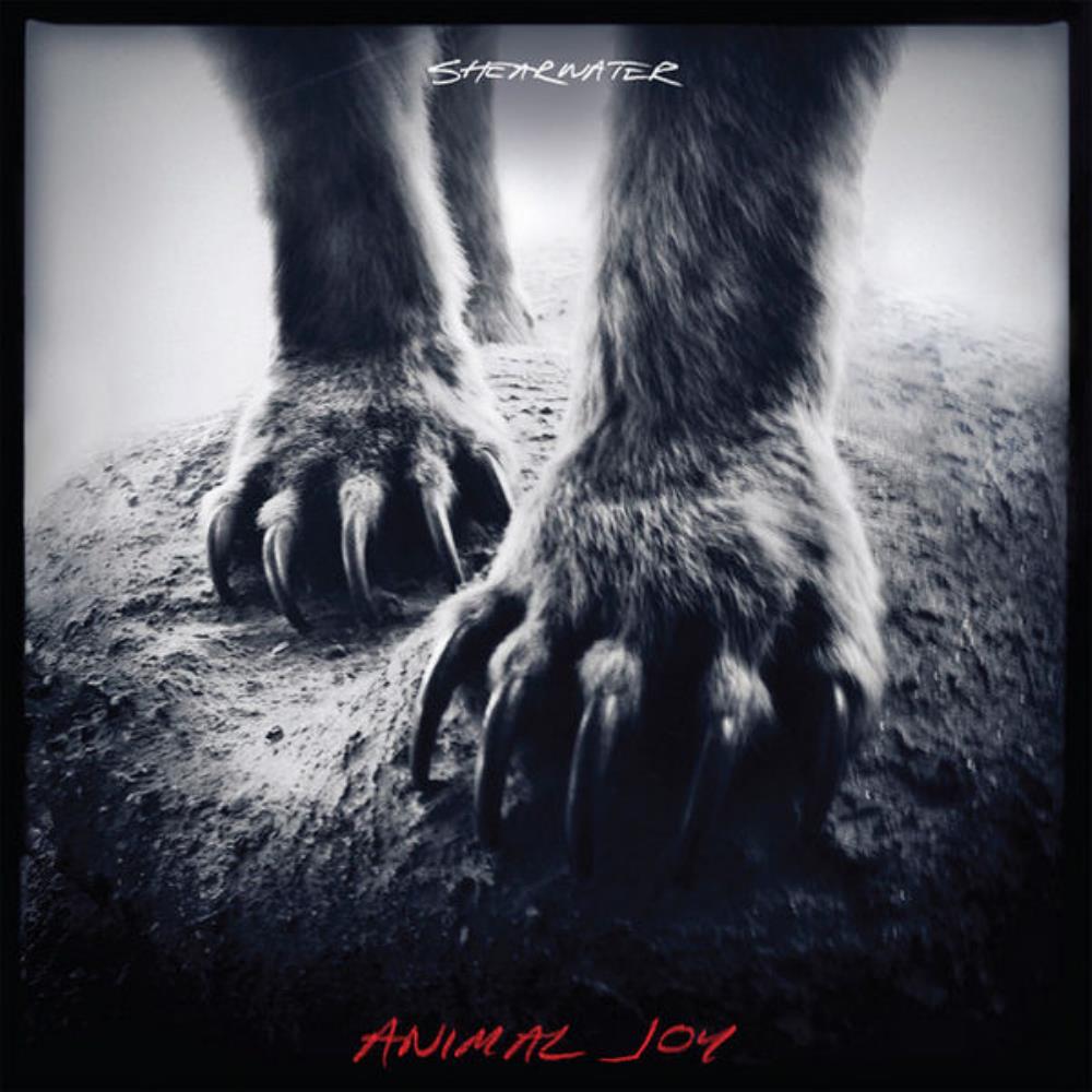  Animal Joy by SHEARWATER album cover