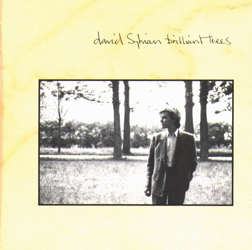 David Sylvian Brilliant Trees  album cover