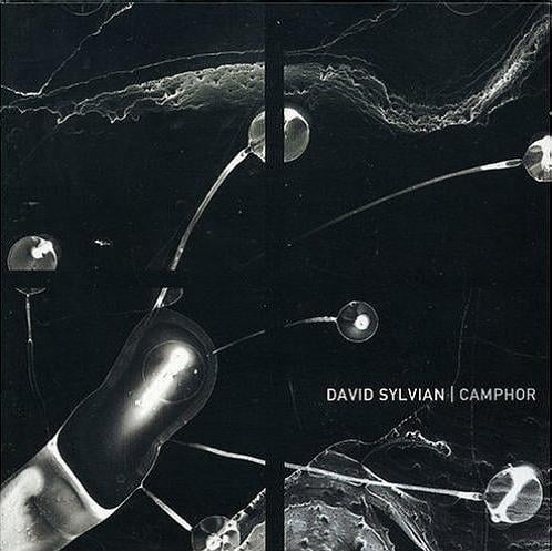 David Sylvian - Camphor CD (album) cover
