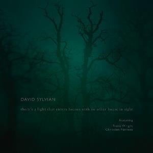 David Sylvian There's A Light That Enters Houses With No Other House In Sight album cover
