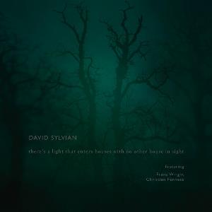 David Sylvian - There's A Light That Enters Houses With No Other House In Sight CD (album) cover