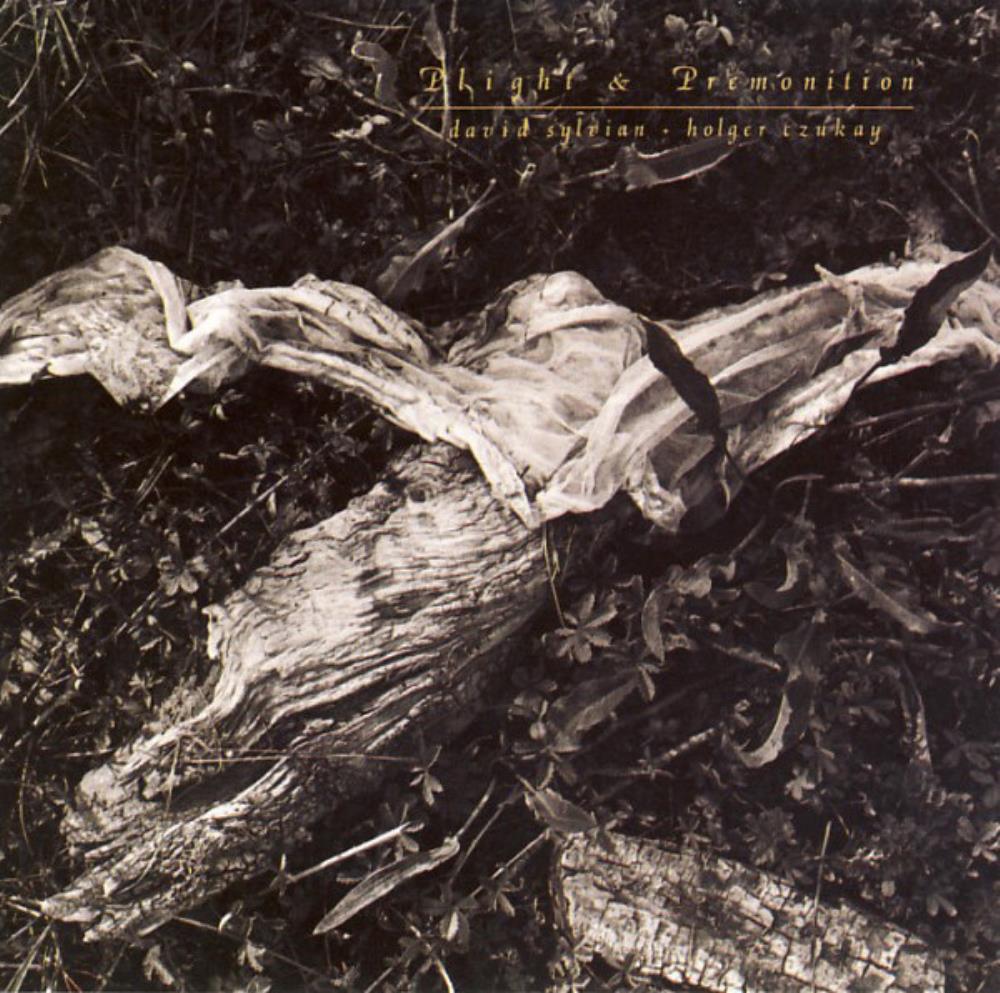 David Sylvian - David Sylvian & Holger Czukay: Plight & Premonition CD (album) cover