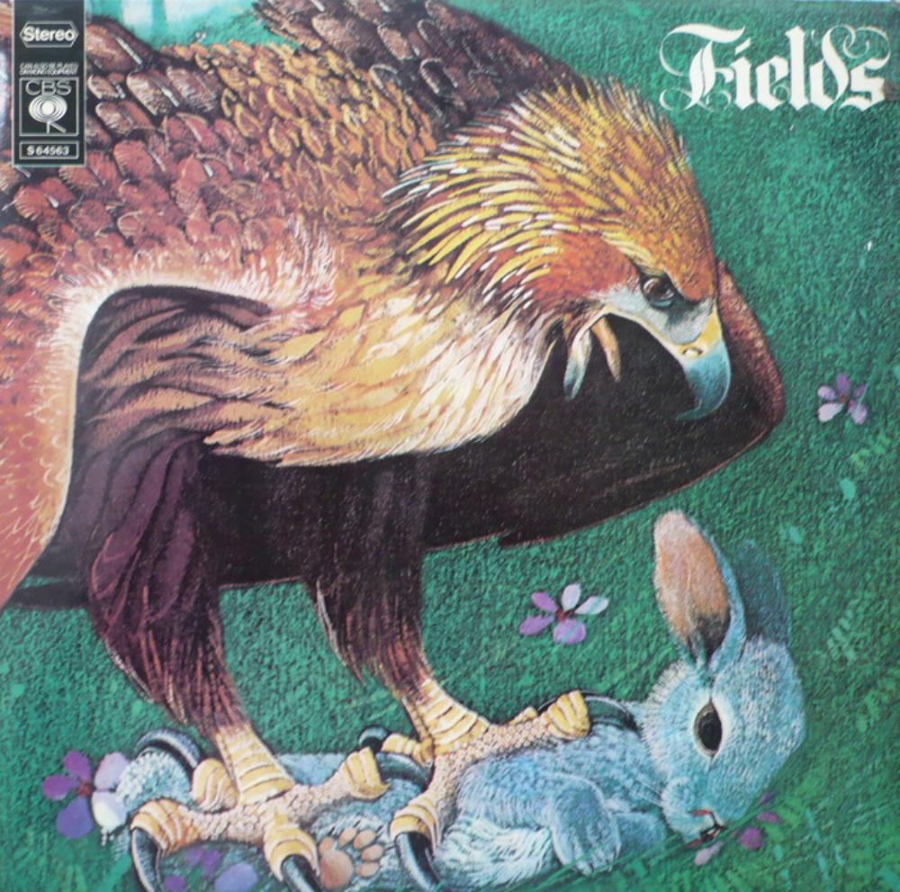 Fields Fields album cover