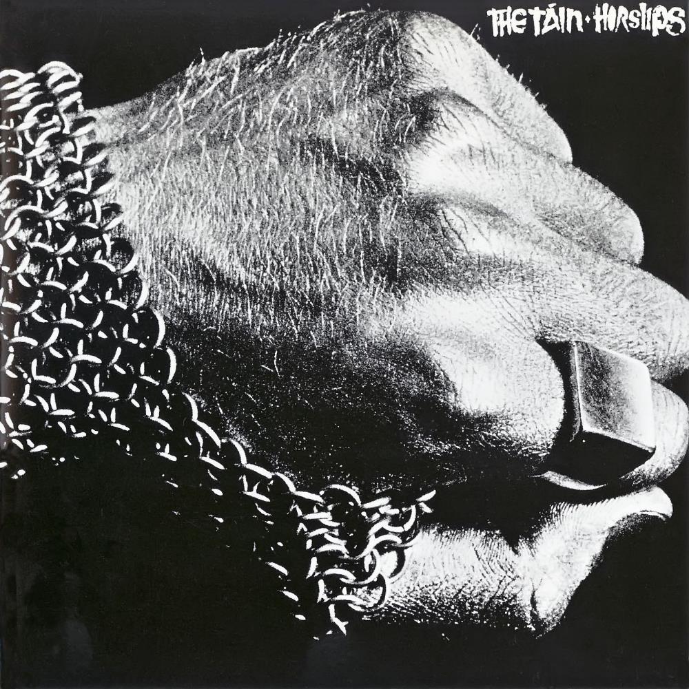 Horslips The Tin album cover