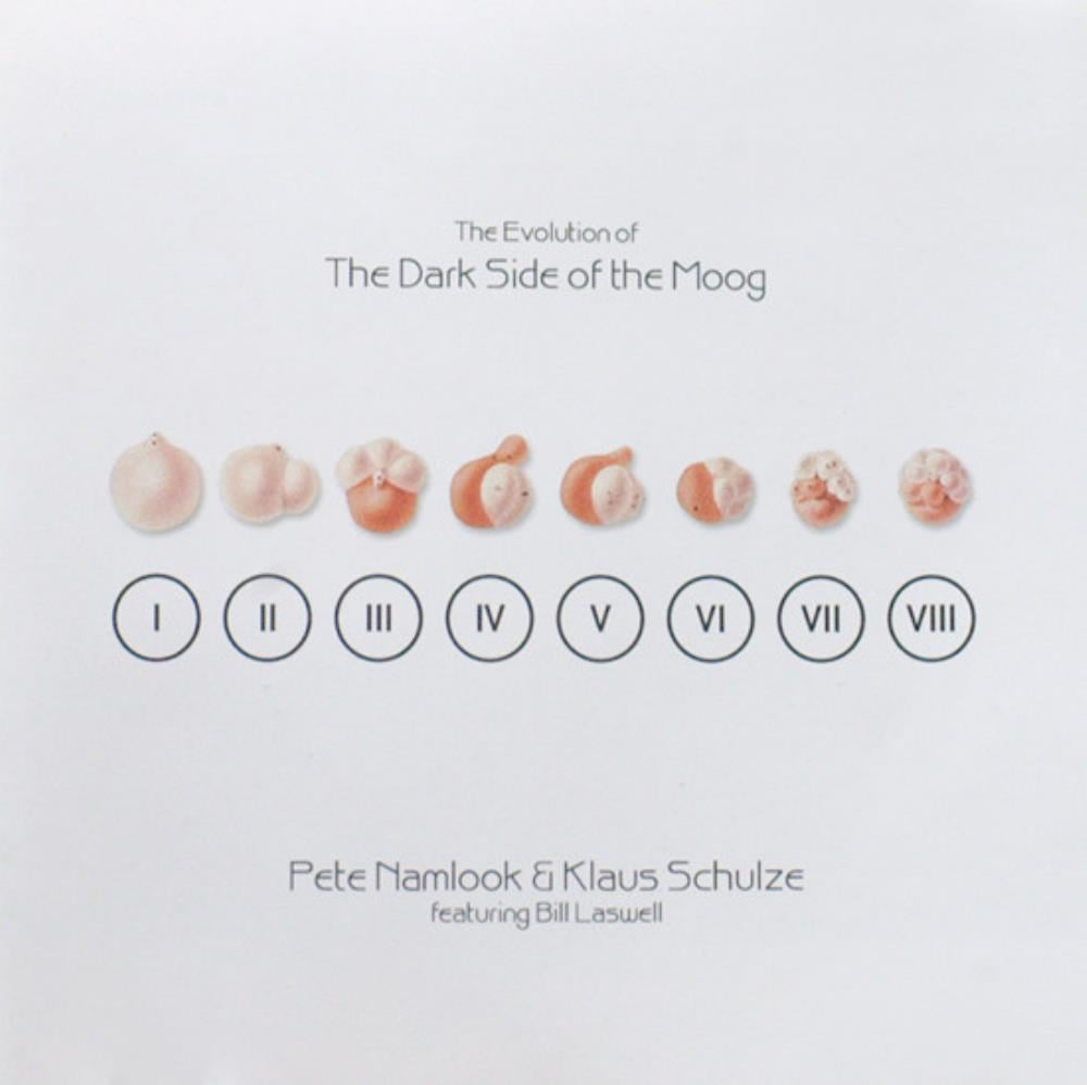 Klaus Schulze The Evolution of the Dark Side of the Moog album cover