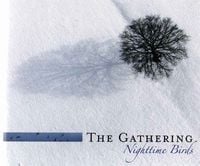 The Gathering - Nighttime Birds (limited deluxe edition) CD (album) cover