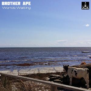 Brother Ape Worlds Waiting album cover