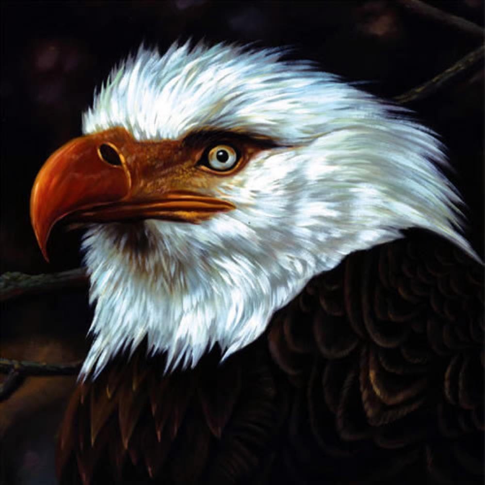 Mogwai The Hawk Is Howling album cover