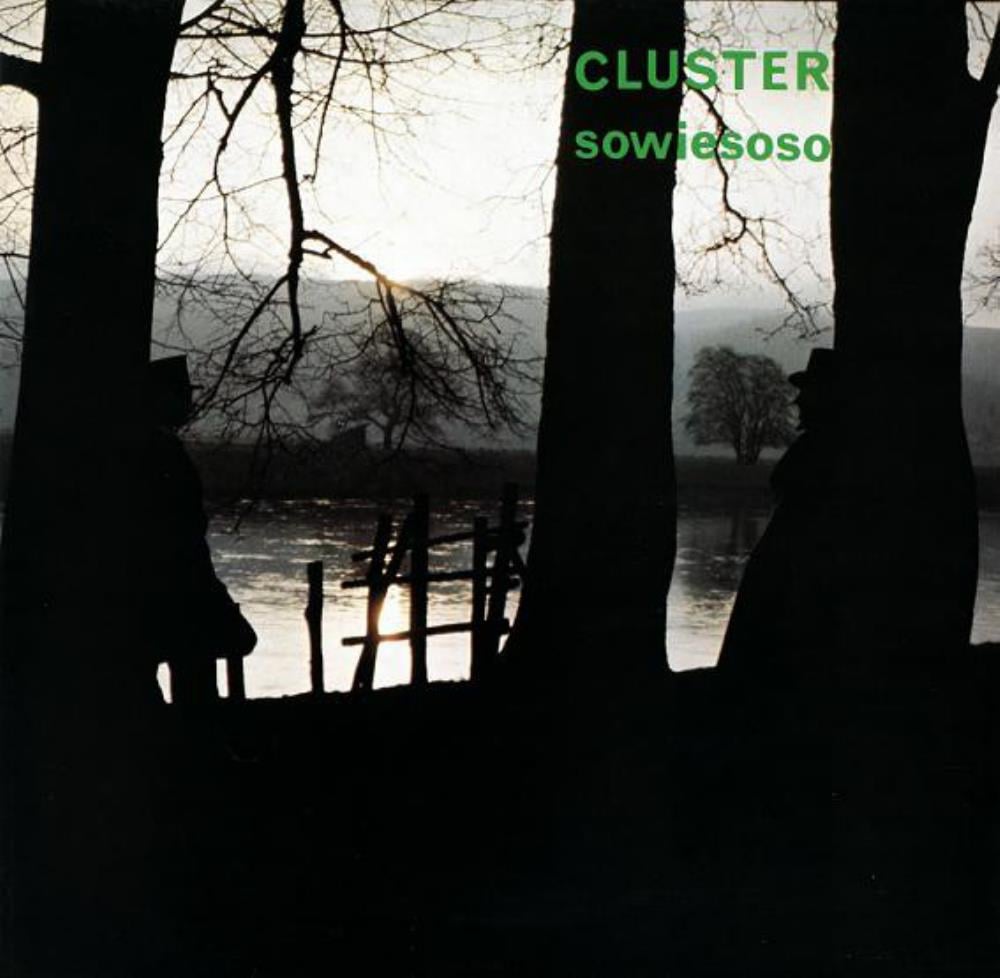 Cluster Sowiesoso album cover