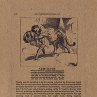 A Silver Mt. Zion - The Pretty Little Lightning Paw  E.P. CD (album) cover