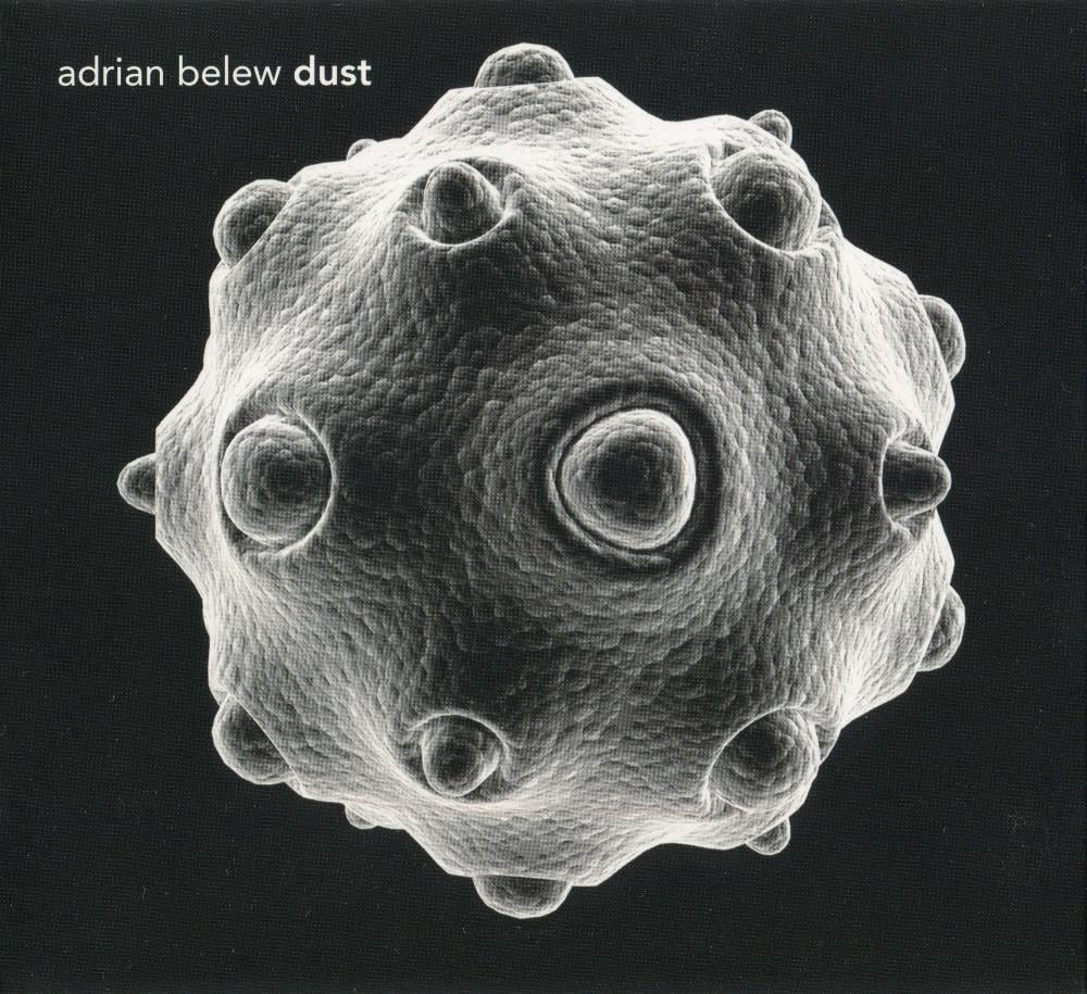 Adrian Belew Dust album cover