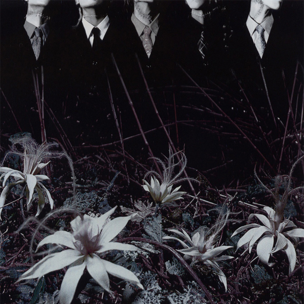 Dir En Grey Ain't Afraid To Die album cover