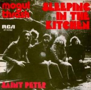 Mogul Thrash - Sleeping In The Kitchen CD (album) cover