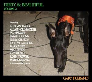 Gary Husband - Dirty & Beautiful Volume 2 CD (album) cover