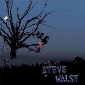 Steve Walsh - Dark Days/Faule Dr Roane CD (album) cover