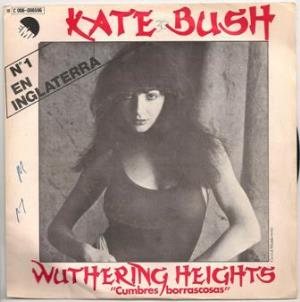 Kate Bush Wuthering Heights album cover