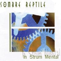 Sombre Reptile In Strum Mental album cover