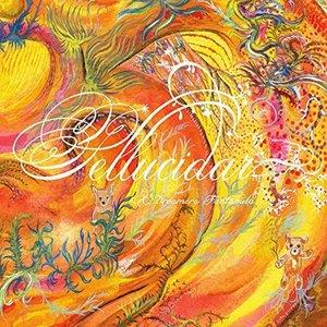 John Zorn - Pellucidar / A Dreamers Fantabula CD (album) cover