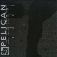 Pelican Pelican album cover