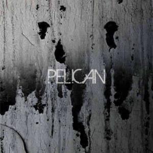 Pelican Deny the Absolute / The Truce album cover