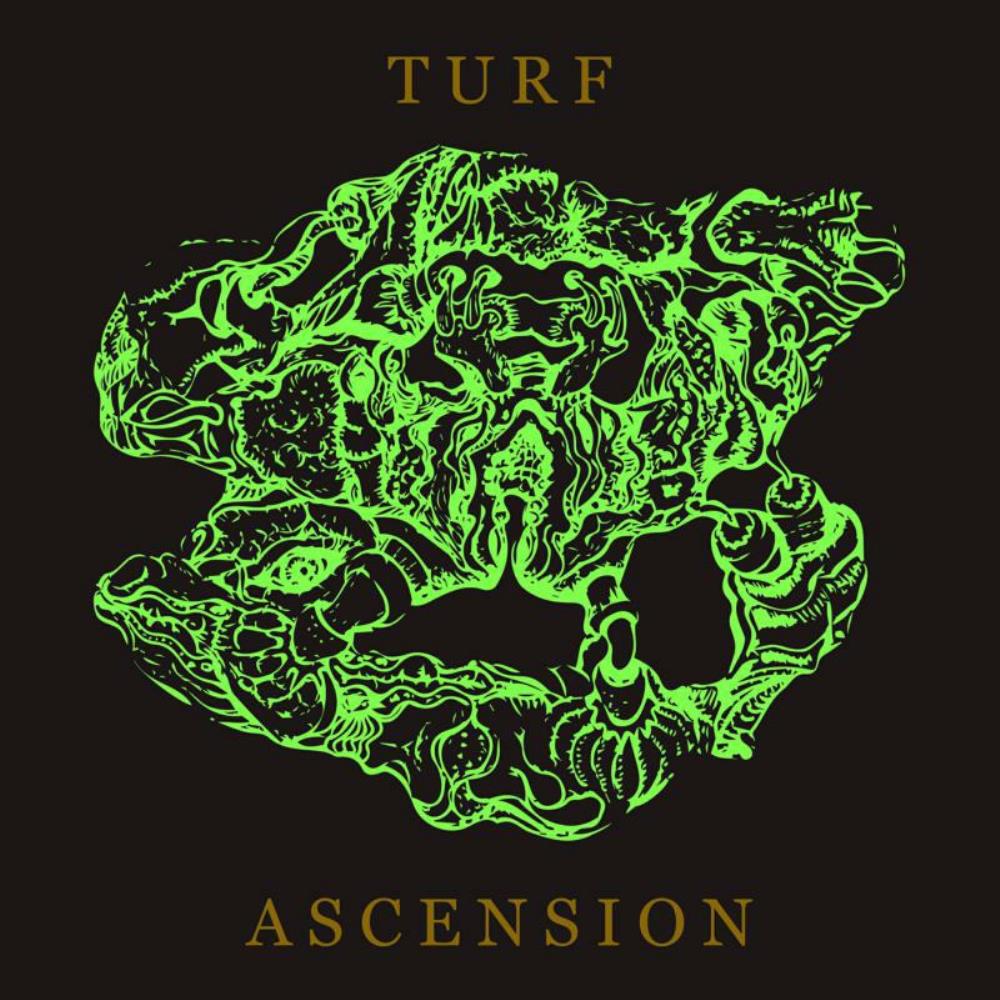 Bubblemath - Turf Ascension CD (album) cover