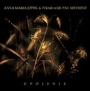 Pat Metheny Anna Maria Jopek & Pat Metheny: Upojenie album cover