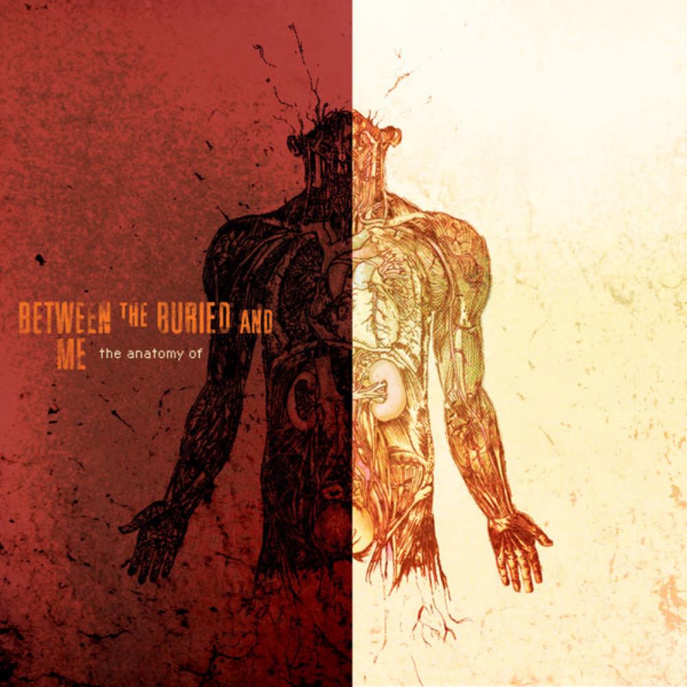 Between The Buried And Me The Anatomy Of... album cover