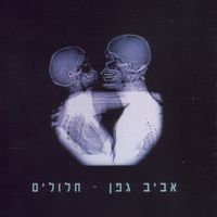 Aviv Geffen - Hollowed CD (album) cover