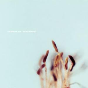The Album Leaf - A Lifetime or More CD (album) cover