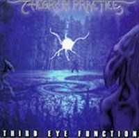 Theory In Practice - Third Eye Function CD (album) cover