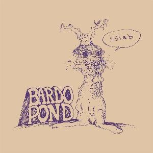 Bardo Pond Slab album cover