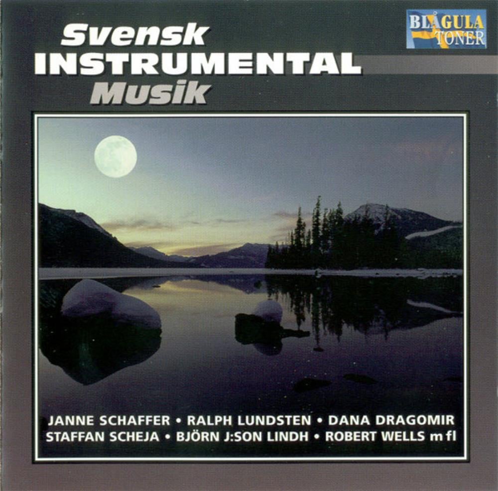 Various Artists (Concept albums & Themed compilations) Svensk Instrumental Musik album cover