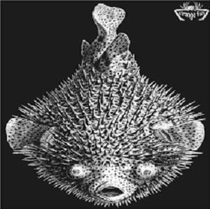 Various Artists (Concept albums & Themed compilations) - Strange Fish Five CD (album) cover