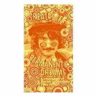 Various Artists (Concept albums & Themed compilations) - Real life permanent dreams- A Cornucopia of British Psychedelia 1965-1970 CD (album) cover