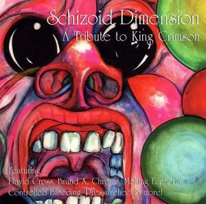 Various Artists (Tributes) - Schizoid Dimension - A Tribute to King Crimson CD (album) cover