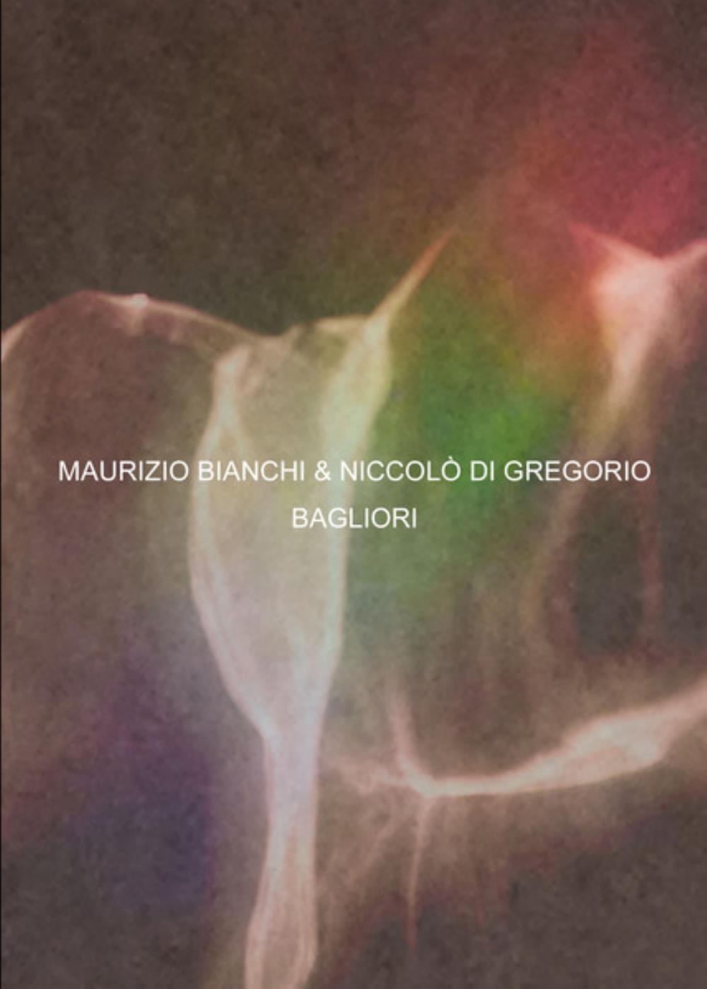 Maurizio Bianchi Maurizio Bianchi & Niccolo Di Gregorio: Bagliori album cover