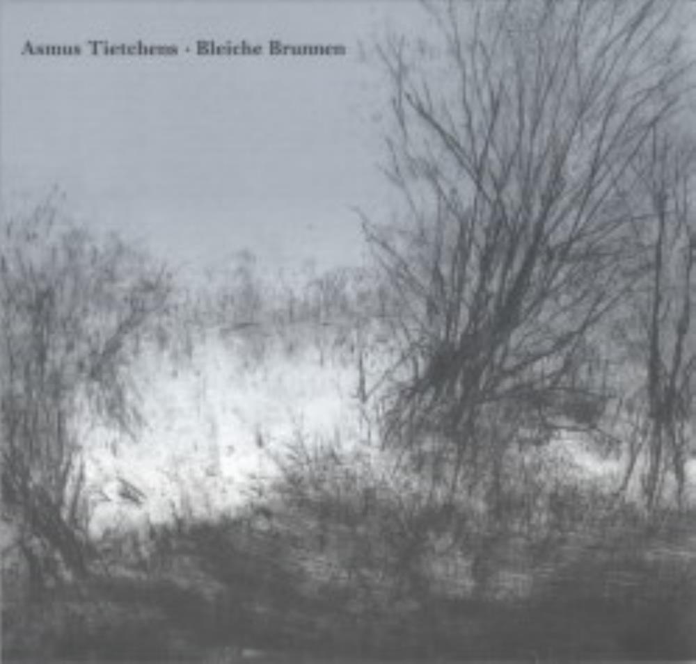 Asmus Tietchens Bleiche Brunnen album cover
