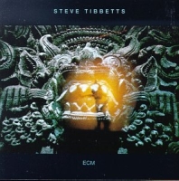 Steve Tibbetts The Fall of Us All album cover