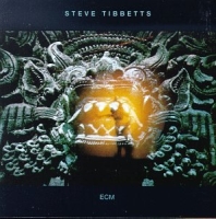 Steve Tibbetts - The Fall of Us All CD (album) cover