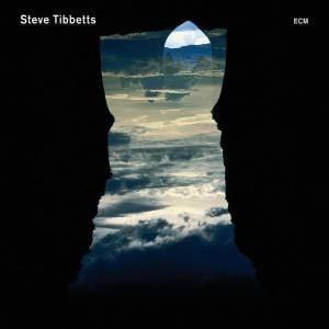 Steve Tibbetts - Natural Causes CD (album) cover