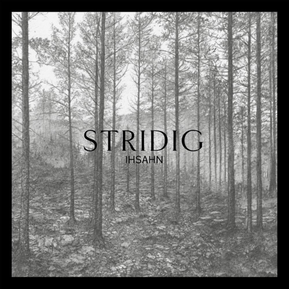 Ihsahn Stridig album cover