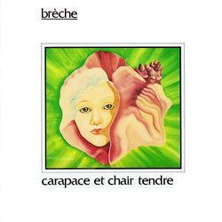 Breche Carapace Et Chair Tendre  album cover