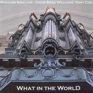 Richard Sinclair What in the World album cover