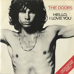 The Doors Hello I Love You 2 x 7'' single album cover