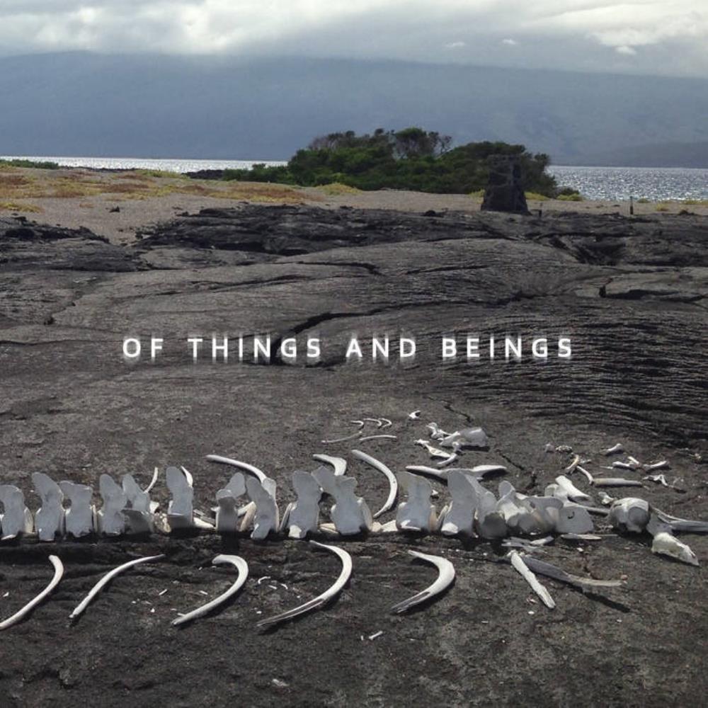 Of Things And Beings by LOST WORLD BAND album cover
