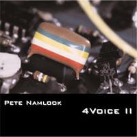 Pete Namlook - 4Voice II CD (album) cover