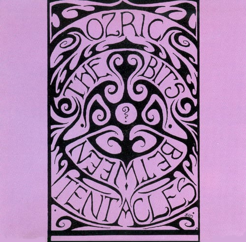 Ozric Tentacles The Bits Between the Bits album cover