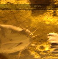 Kinski - I Didn't Mean To Interrupt Your Beautiful Moment CD (album) cover