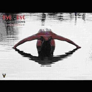 Alan Parsons Eye 2 Eye album cover